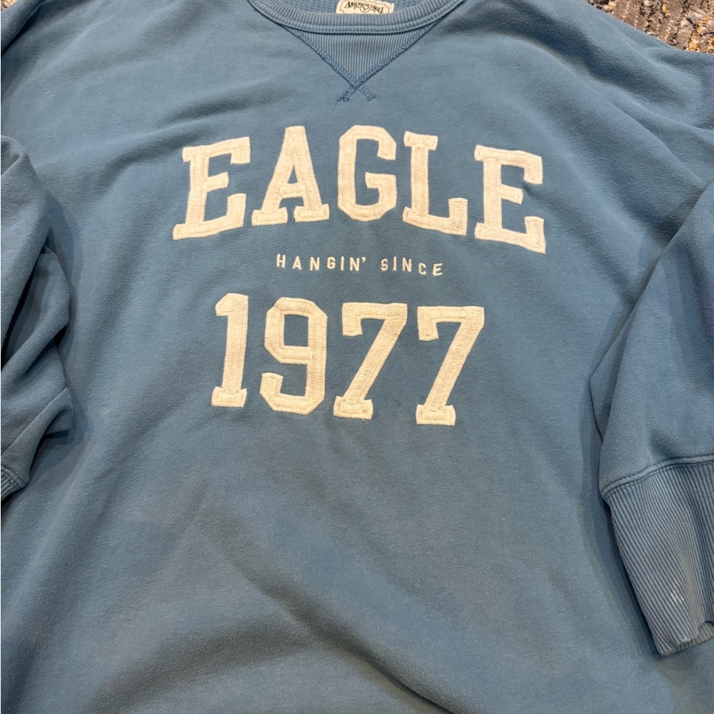 American Eagle Outfitters Blue Graphic Sweatshirt